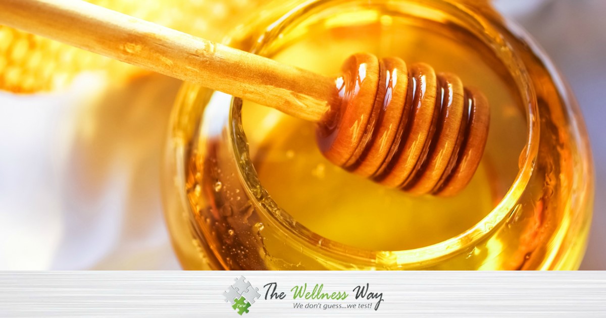  Raw Honey Bear Lands End Vancouver WA